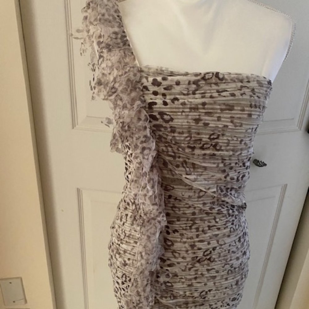 Waggon Paris dress brand new